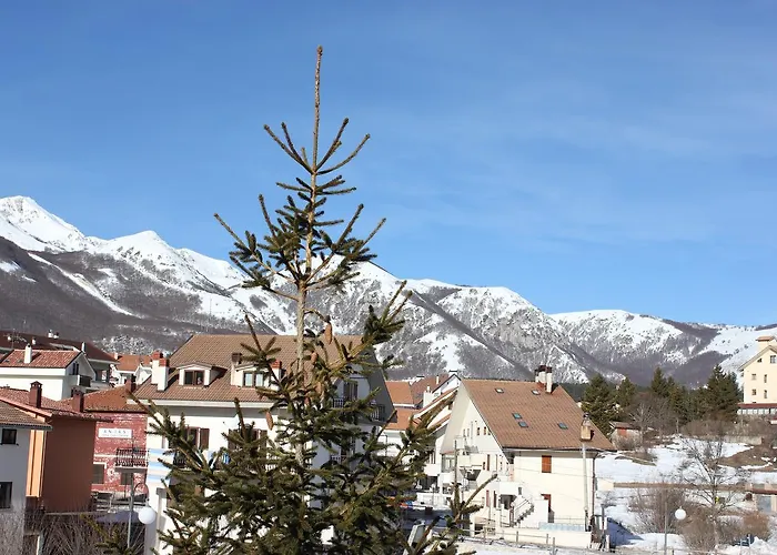 Cenzo * אובינדולי