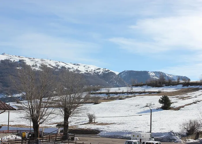 Cenzo * 오빈도리